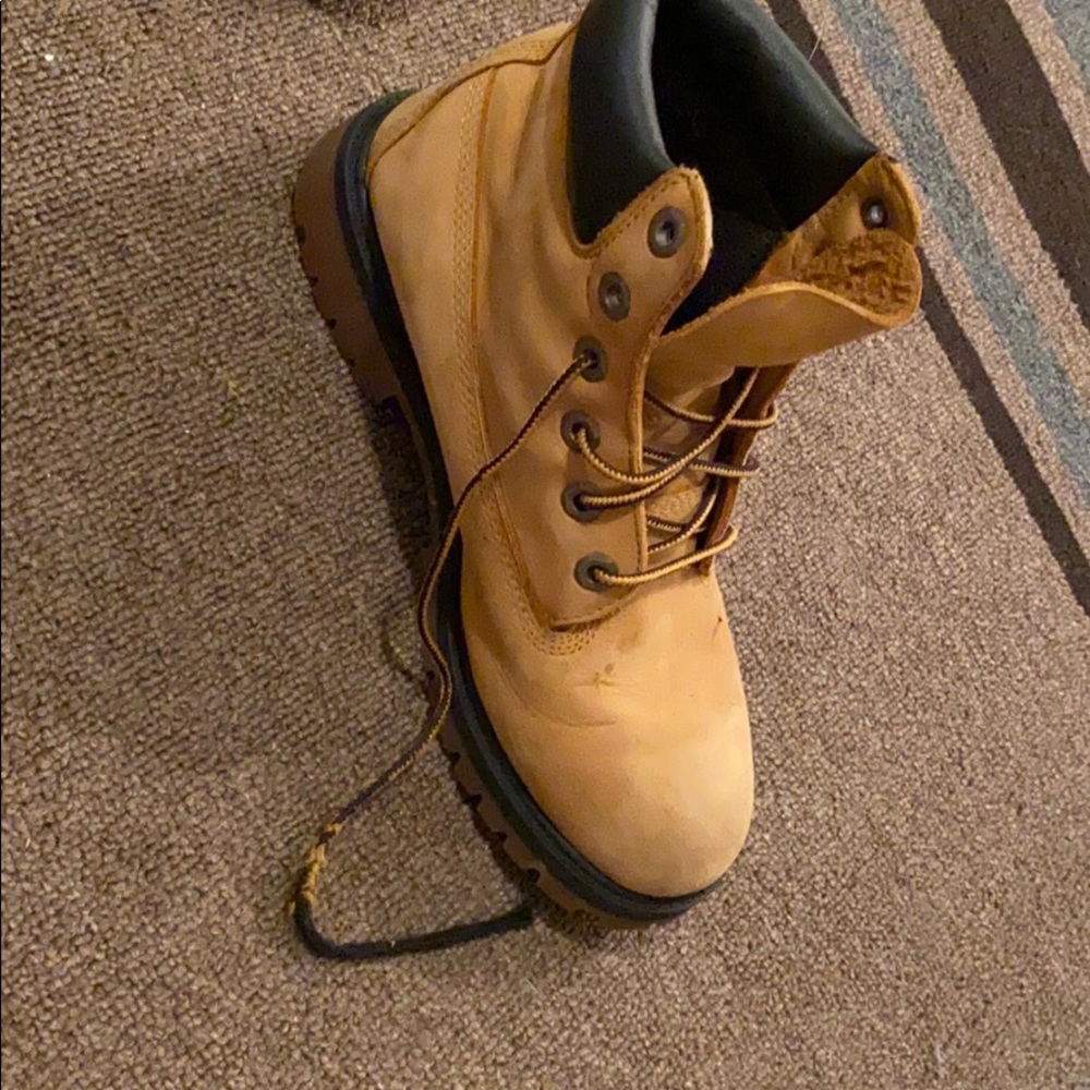 Timberlands - Picture 3 of 9